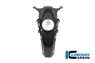 Ilmberger Carbon Fibre Tank Centre Panel For BMW R 1250 R 2019-22